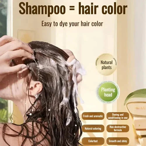 ✨Japanese Long Lasting Natural Hair Dye Shampoo ( Buy 1 Get 1 Free )🔥
